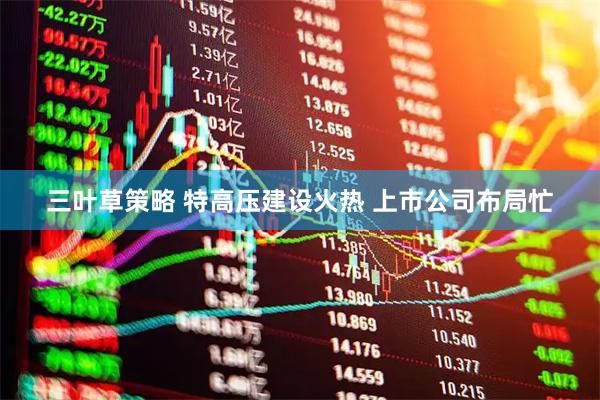 三叶草策略 特高压建设火热 上市公司布局忙