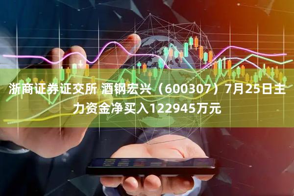 浙商证券证交所 酒钢宏兴（600307）7月25日主力资金净买入122945万元