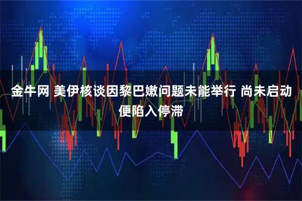 金牛网 美伊核谈因黎巴嫩问题未能举行 尚未启动便陷入停滞