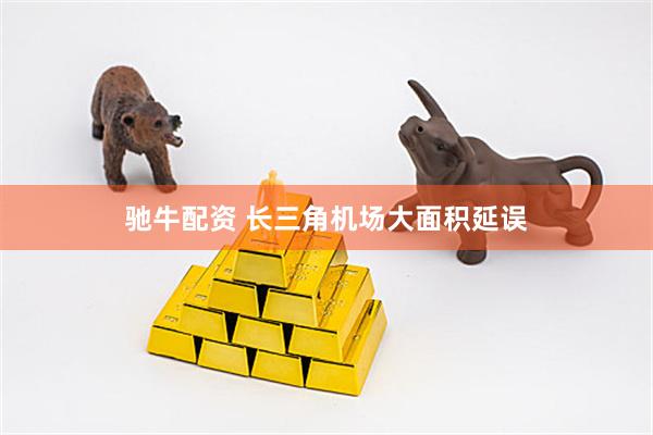 驰牛配资 长三角机场大面积延误