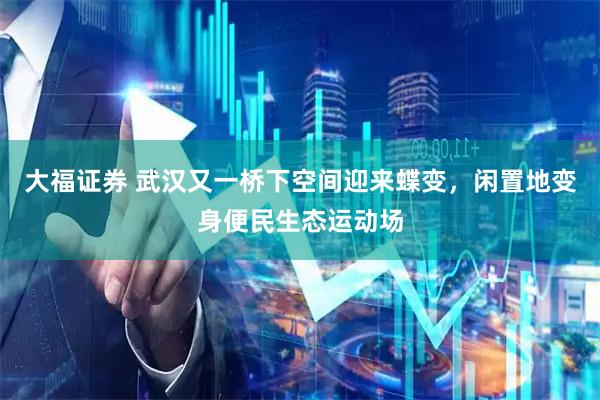 大福证券 武汉又一桥下空间迎来蝶变，闲置地变身便民生态运动场